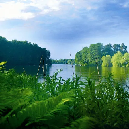 Hotel Hotel-restaurant Alter Krug 3*