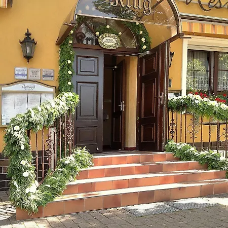 Ξενοδοχείο Hotel-restaurant Alter Krug 3*