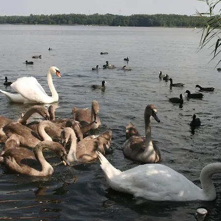 Hotel-restaurant Alter Krug Ξενοδοχείο 3*