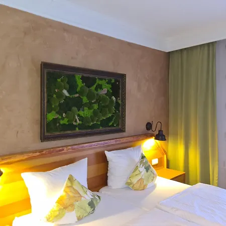 Hotel-restaurant Alter Krug 3*