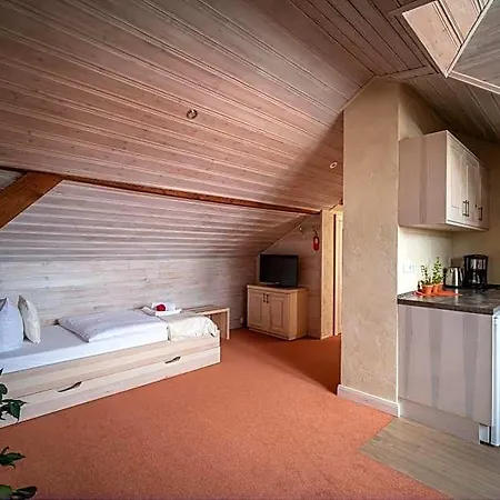Hotel Hotel-restaurant Alter Krug Kallinchen