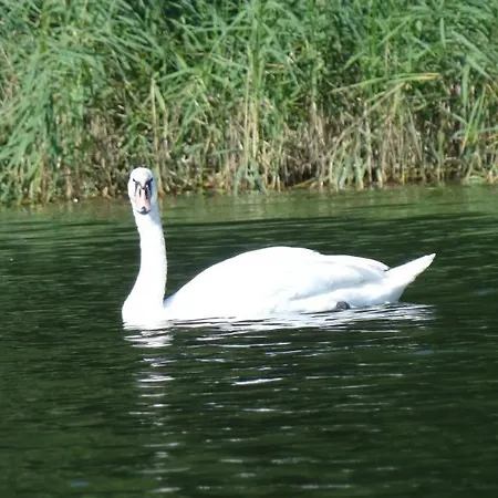 Ξενοδοχείο Hotel-restaurant Alter Krug Kallinchen