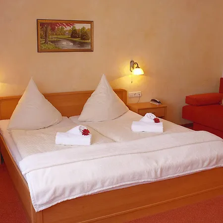 Hotel-restaurant Alter Krug מלון 3*