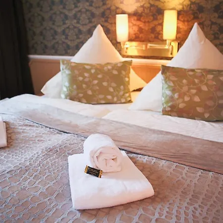 Hotel-restaurant Alter Krug 3*