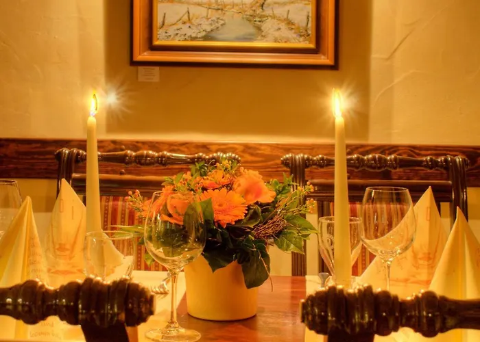 Hotel Hotel-restaurant Alter Krug