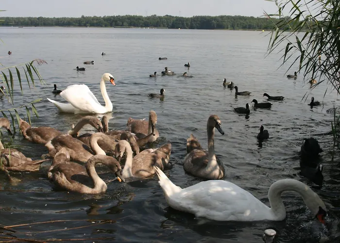 Hotel-restaurant Alter Krug Hotell 3*