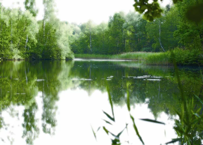 호텔 Hotel-restaurant Alter Krug