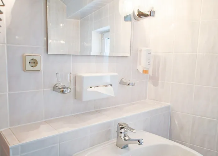 Hotel-restaurant Alter Krug Hotell 3*