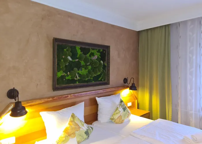 Hotel-restaurant Alter Krug 3*