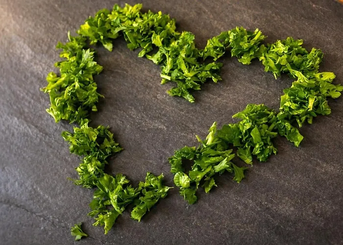 Hotel-restaurant Alter Krug Hotel