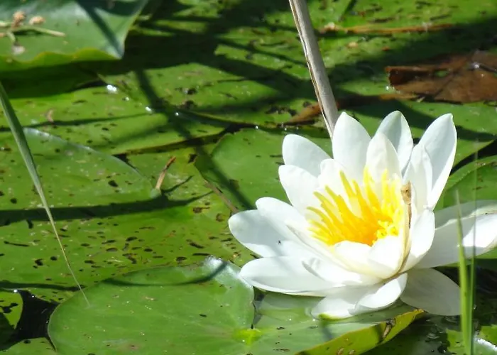 Hotel-restaurant Alter Krug Hotel 3*