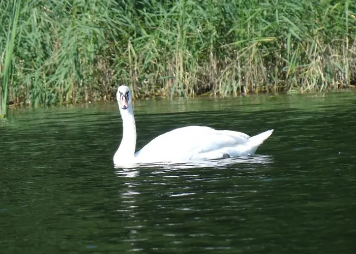 Hotel Hotel-restaurant Alter Krug Kallinchen