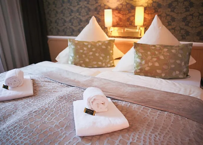 Hotel-restaurant Alter Krug 3*